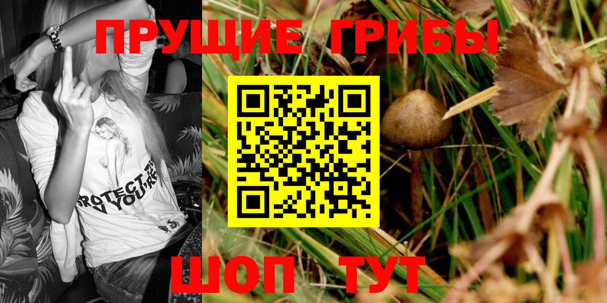 Галлюциногенные грибы MAGIC MUSHROOMS Черняховск