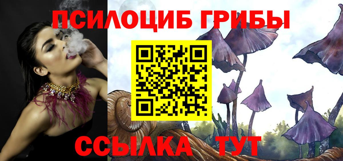 Черняховск  Псилоцибиновые грибы GOLDEN TEACHER  Вход с VPN 